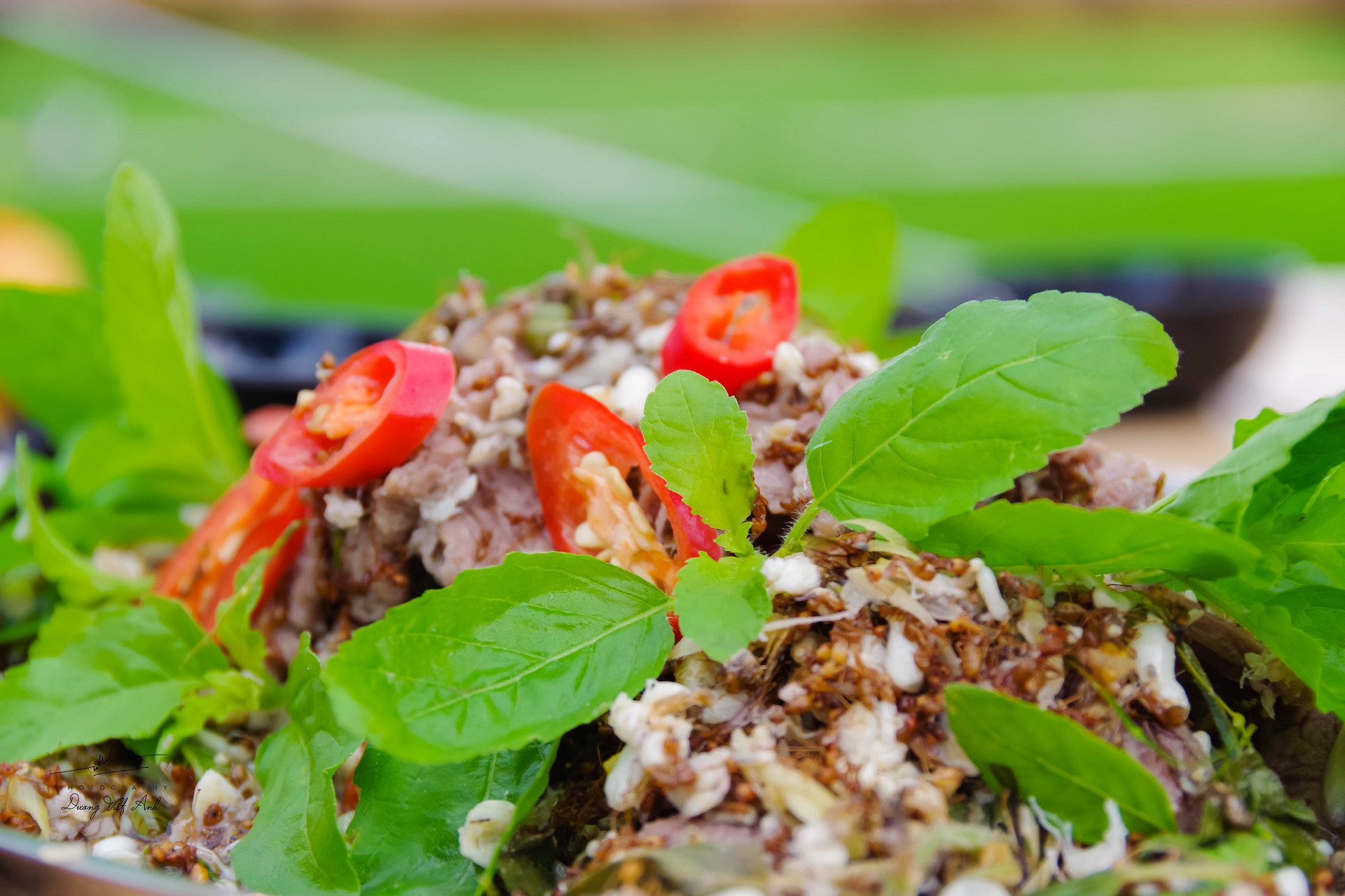 bo xao kien vang 2799.jpg