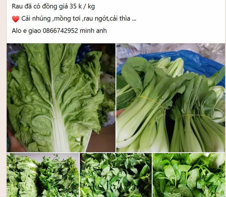 Các loại rau xanh đã có giá mềm hơn rất nhiều so với tuần trước....