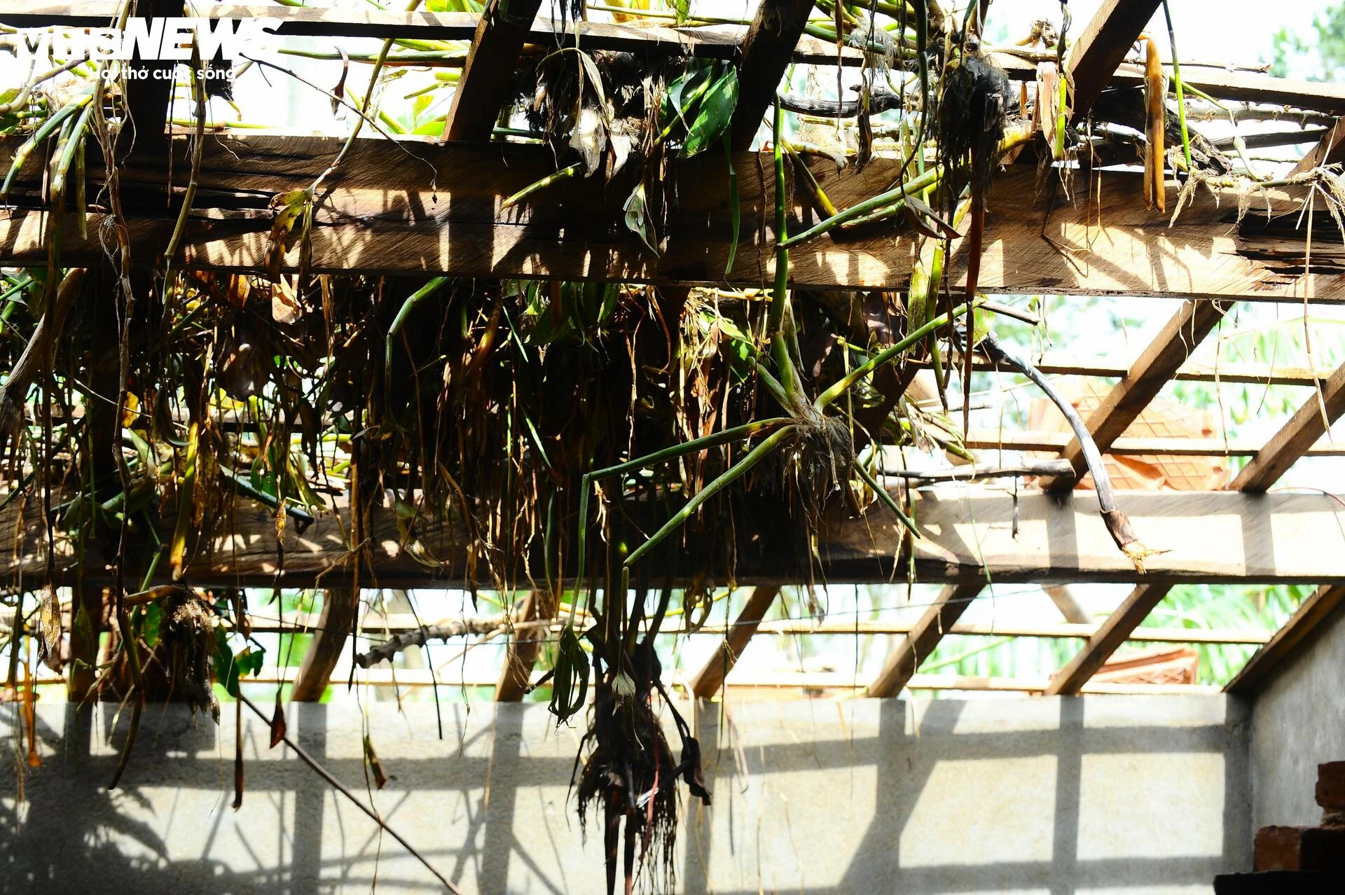 Những hình ảnh nhói lòng nơi rốn lũ Hòa Thịnh - 15