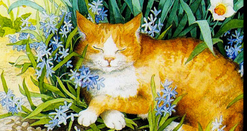 Tử vi tuần mới 24  3011 2 con giáp tài lộc thịnh thượng tuổi Thìn gặp nhiều thách thức