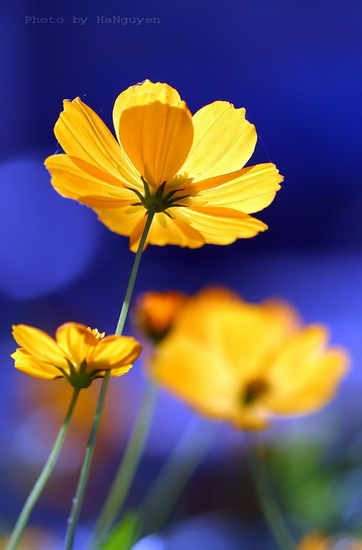 Chỉ cần xem ngày sinh Âm lịch là biết gia đình có vượng phát hay không - Ảnh 1.