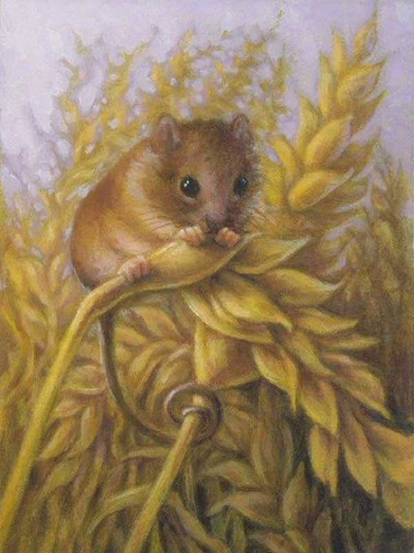 Tử vi 12 con giáp thứ Ba ngày 25112025