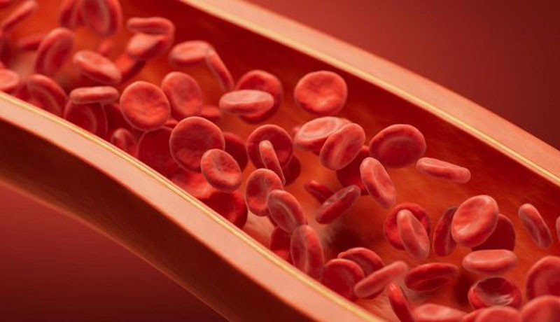 Người có máu sạch thường có 5 đặc điểm nếu đạt được 4 thì xin chúc mừng