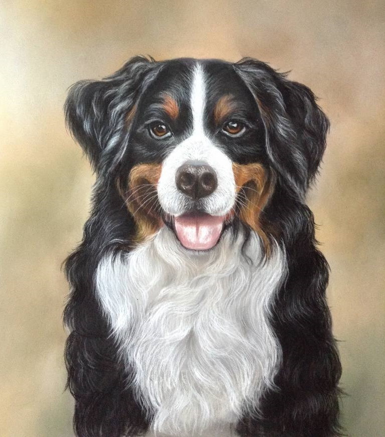 Tử vi 12 con giáp thứ Tư ngày 26112025