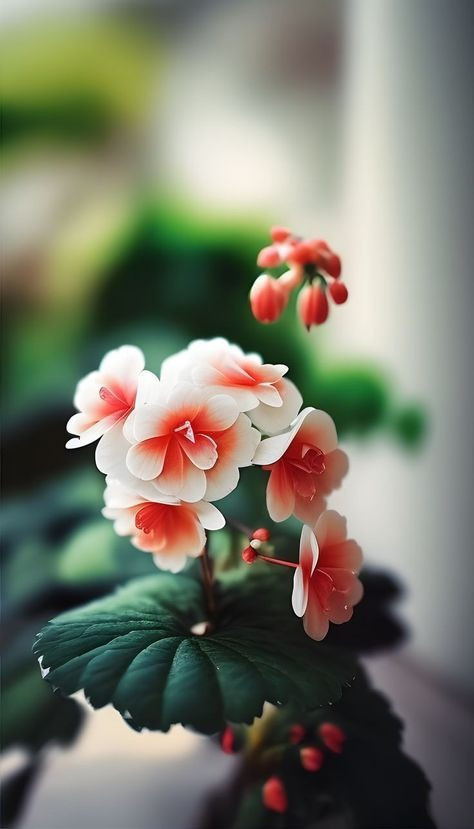 Tử vi tiết lộ 5 ngày sinh Âm lịch mang phúc lộc suốt đời: Càng trưởng thành càng rực rỡ - Ảnh 5.