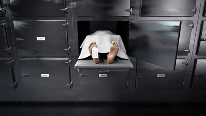 (Ảnh minh họa: Shutterstock)