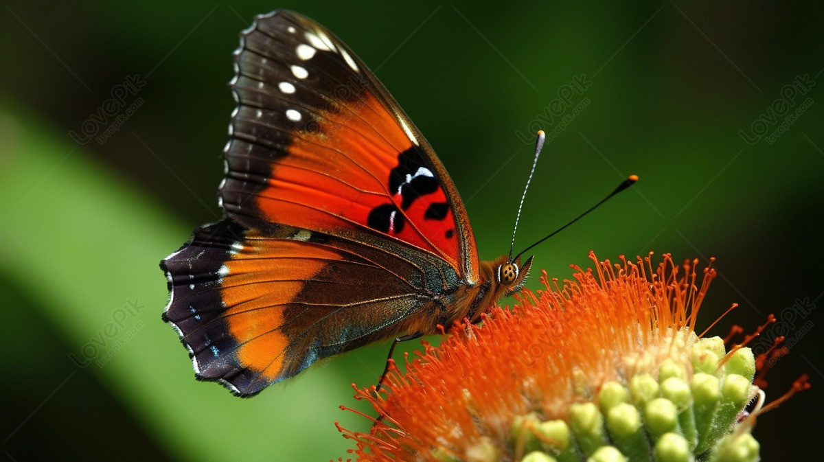 Tháng sinh Âm lịch của người có năng lực xuất chúng - Ảnh 2.