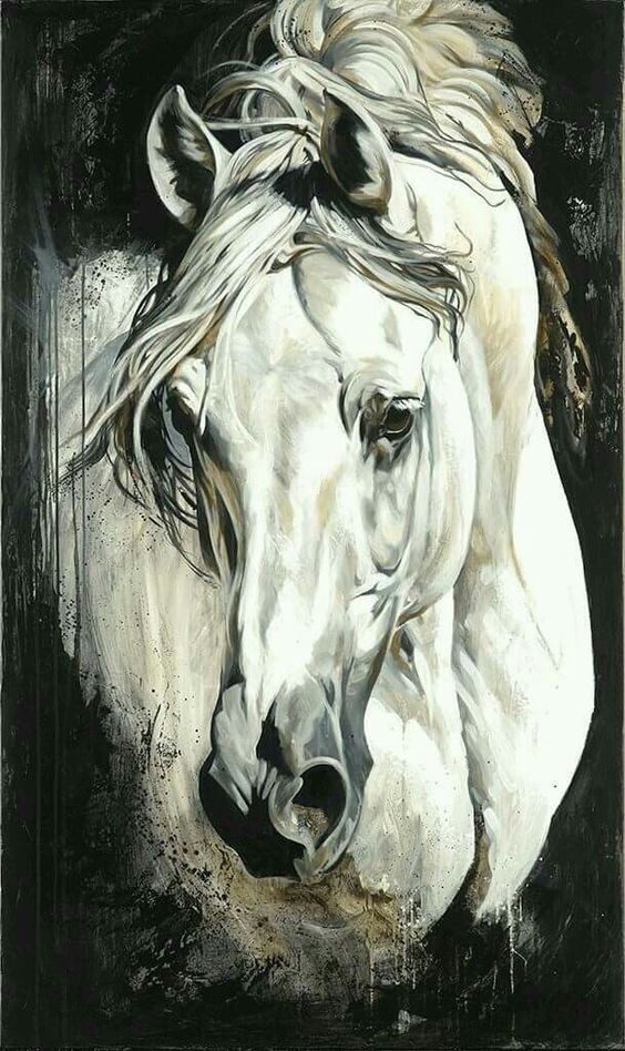 Tử vi 12 con giáp thứ Bảy ngày 29112025