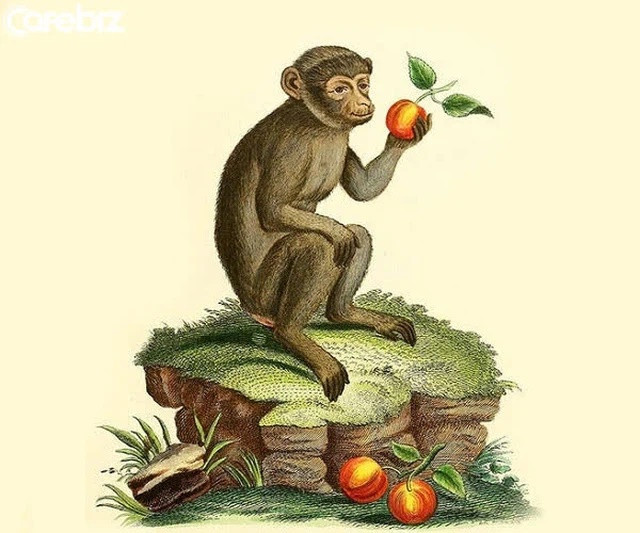 Tử vi 12 con giáp thứ Bảy ngày 29112025