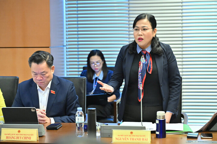 Đại biểu Nguyễn Thanh Hải. (Ảnh: Như Ý)