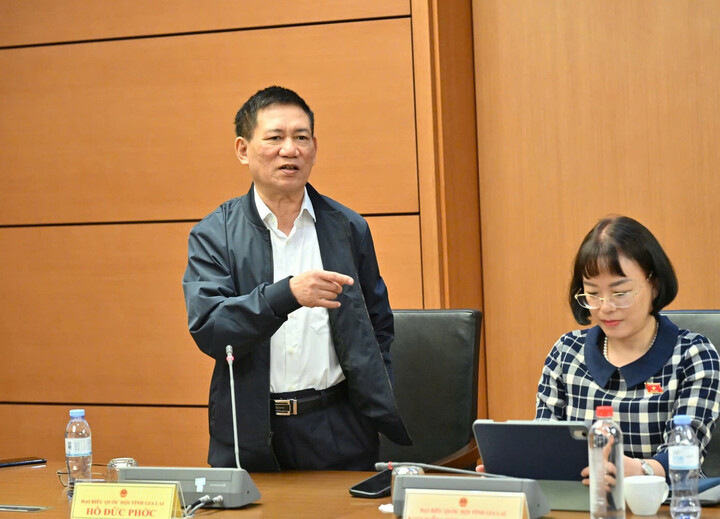 Phó Thủ tướng Hồ Đức Phớc tại phiên họp ở tổ. (Ảnh: Như Ý).