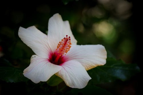 Số hưởng từ trong trứng: Sinh vào 5 ngày Âm lịch này cuộc đời an nhàn, bình yên - Ảnh 1.