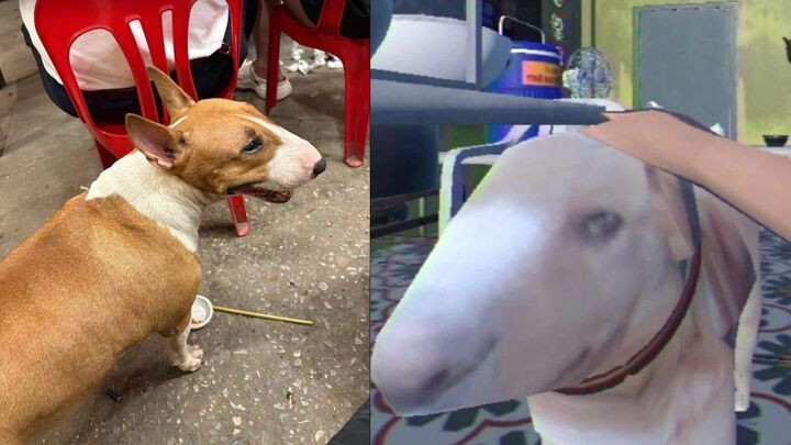 Cậu Vàng trong trò chơi có ngoại hình tương đồng giống chó sục bò ngoài đời thực.