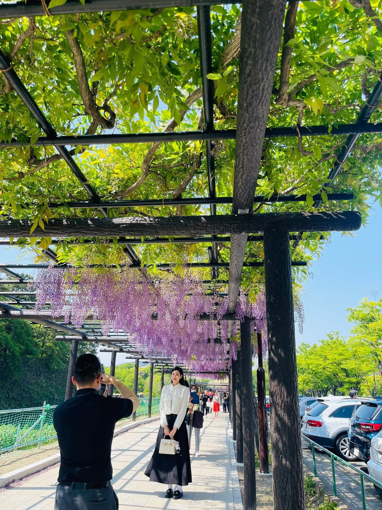 Tóm sống vợ chồng Đỗ Hà sau hôn lễ thái độ thiếu gia Viết Vương bên vợ hoa hậu gây bàn tán