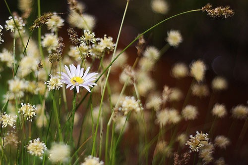 Tháng sinh Âm lịch là 'con cưng của Thần Tài': Càng già càng giàu, phúc lộc bền lâu - Ảnh 2.