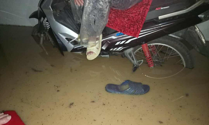 Bão số 13 Kalmaegi quần thảo Đắk Lắk, Gia Lai: Nhà sập, ngập khắp nơi, nhiều người cầu cứu - 2