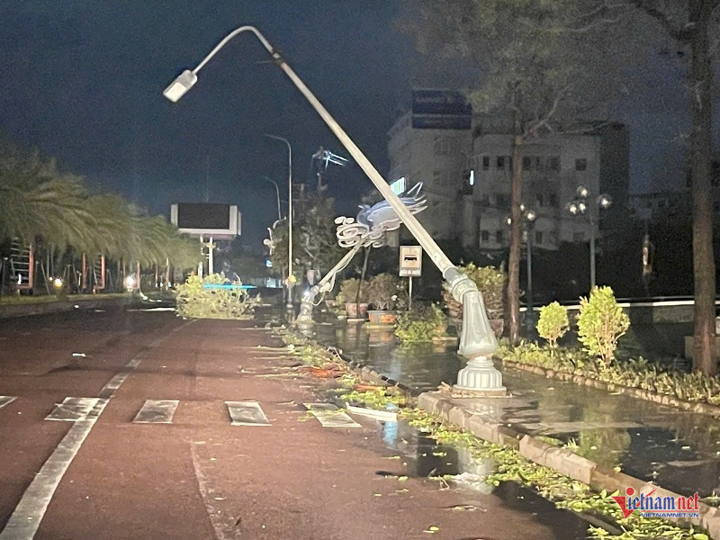 W-Tan hoang sau bão 6.jpg