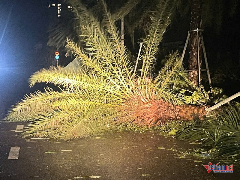 W-Tan hoang sau bão 1.jpg