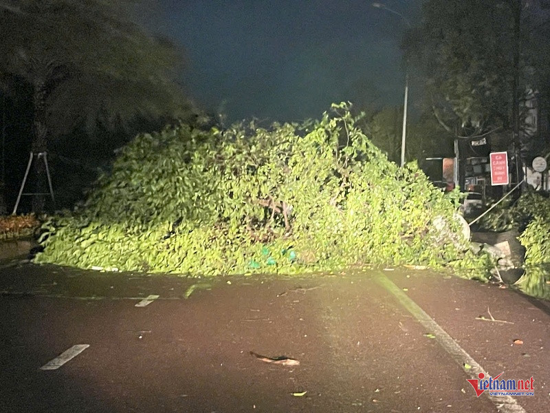 W-Tan hoang sau bão 2.jpg