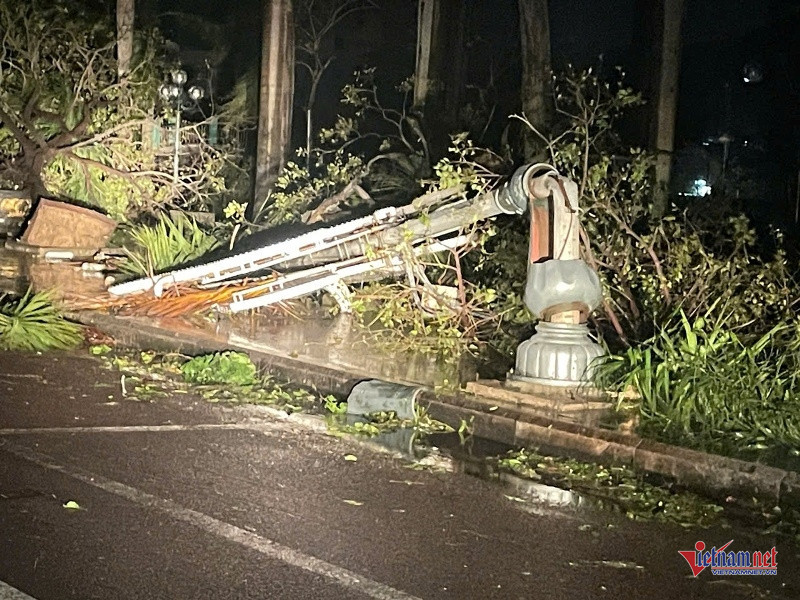 W-Tan hoang sau bão 5.jpg