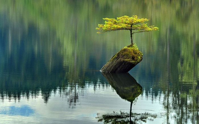 Ngày sinh Âm lịch của người mạnh mẽ: Càng trong nghịch cảnh càng vươn lên tỏa sáng rực rỡ - Ảnh 2.