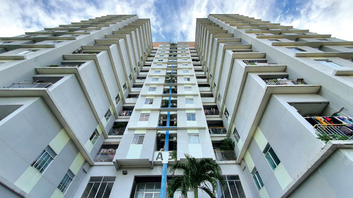 Mức phạt 120 triệu đồng chưa đủ sức răn đe. (Ảnh: Báo chính phủ).