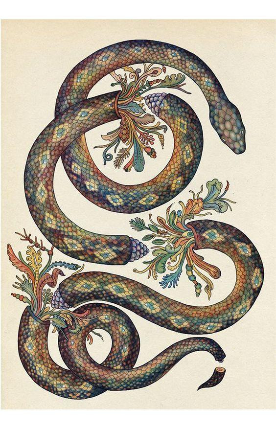 Tử vi 3 con giáp may mắn nhất thứ Hai 1011 Giàu lên trông thấy tài vận khởi sắc