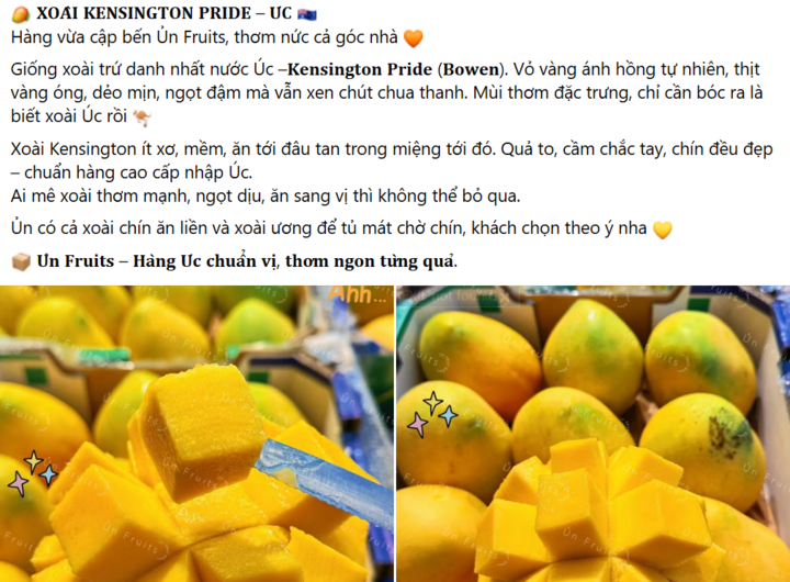 Xoài Kensington Pride được nhập khẩu qua đường hàng không về Việt Nam.