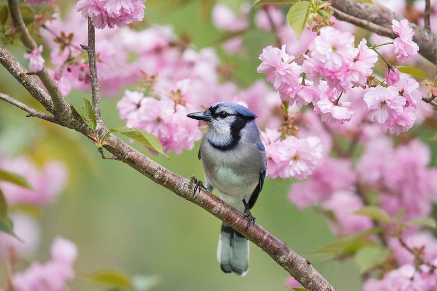 Tháng sinh Âm lịch của người làm việc tử tế, chính trực - Ảnh 2.