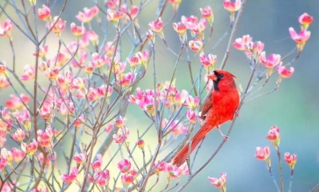 Tháng sinh Âm lịch của người làm việc tử tế, chính trực - Ảnh 3.