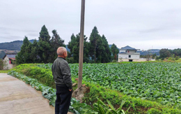 Lương hưu 25 triệu nhưng về quê phải giấu nhẹm: Quyết định giúp tôi thoát vòng thị phi - Ảnh 1.