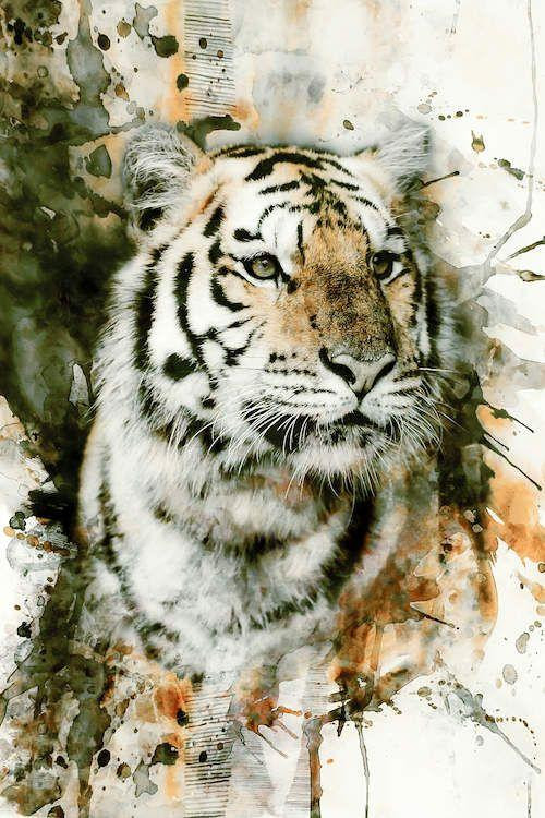 Tử vi 12 con giáp thứ Sáu ngày 12122025