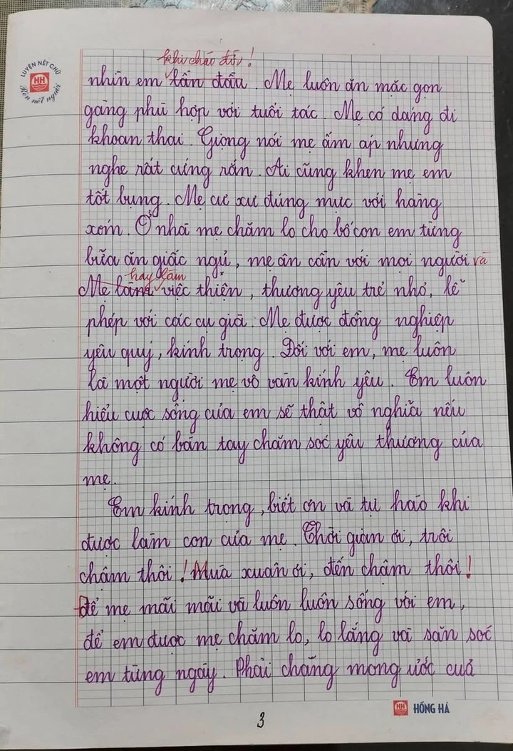 Bài văn tả mẹ đạt 9 điểm gây 'sốt' mạng, tinh tế nhất là lời phê của giáo viên - 3
