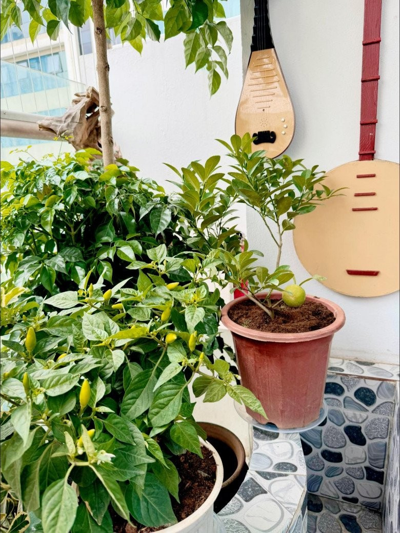 Tổ ấm rực rỡ của NSND Tự Long - Ảnh 10.