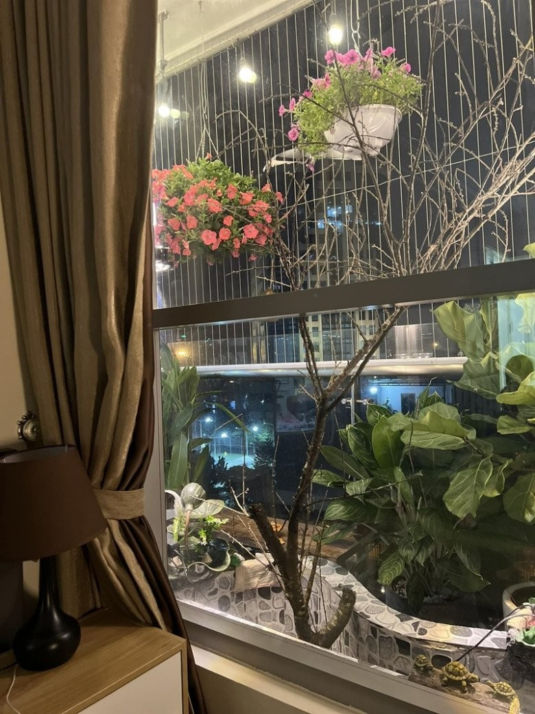 Tổ ấm rực rỡ của NSND Tự Long  - Ảnh 14.