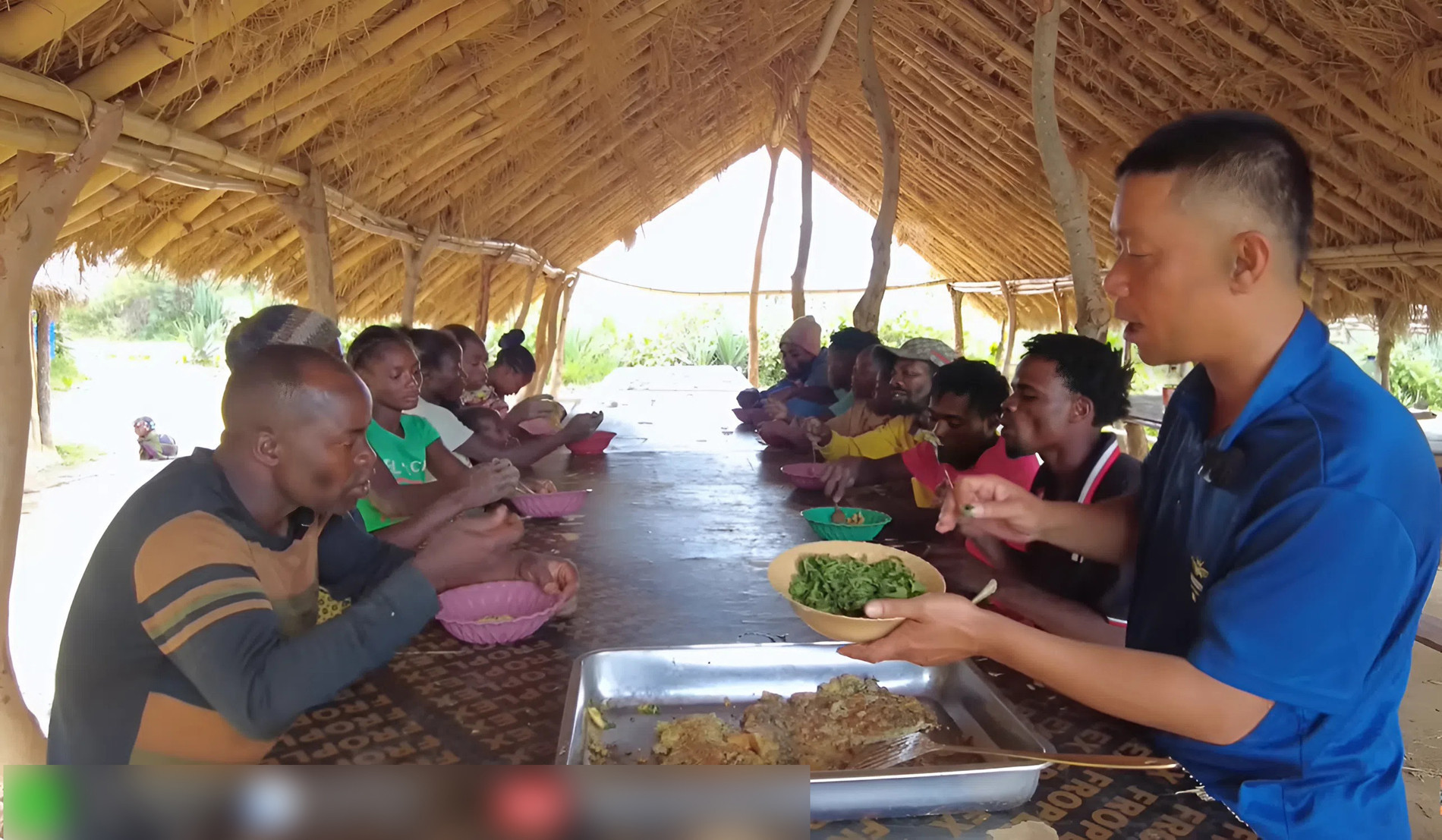 trứng rán lá mơ 00