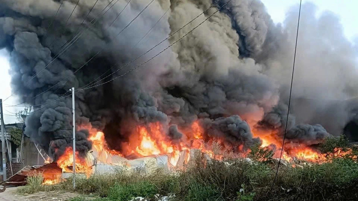 chay lon tai cong ty go rong 1.000m o tp.hcm hinh anh 1