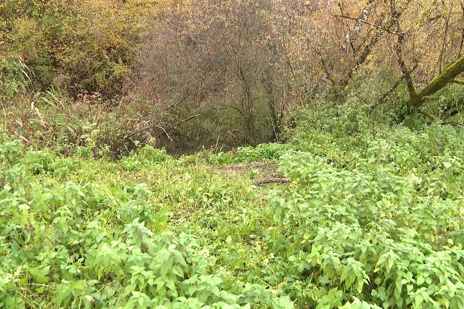 Án mạng rúng động ngôi làng nhỏ ở Pháp - Ảnh 1.