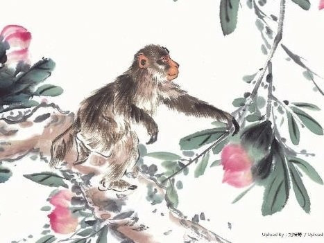 Tử vi 12 con giáp thứ Ba ngày 2122025