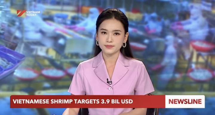 Học vấn đáng nể của 4 BTV Vietnam Today xuất thân Học viện Ngoại giao - Ảnh 3.