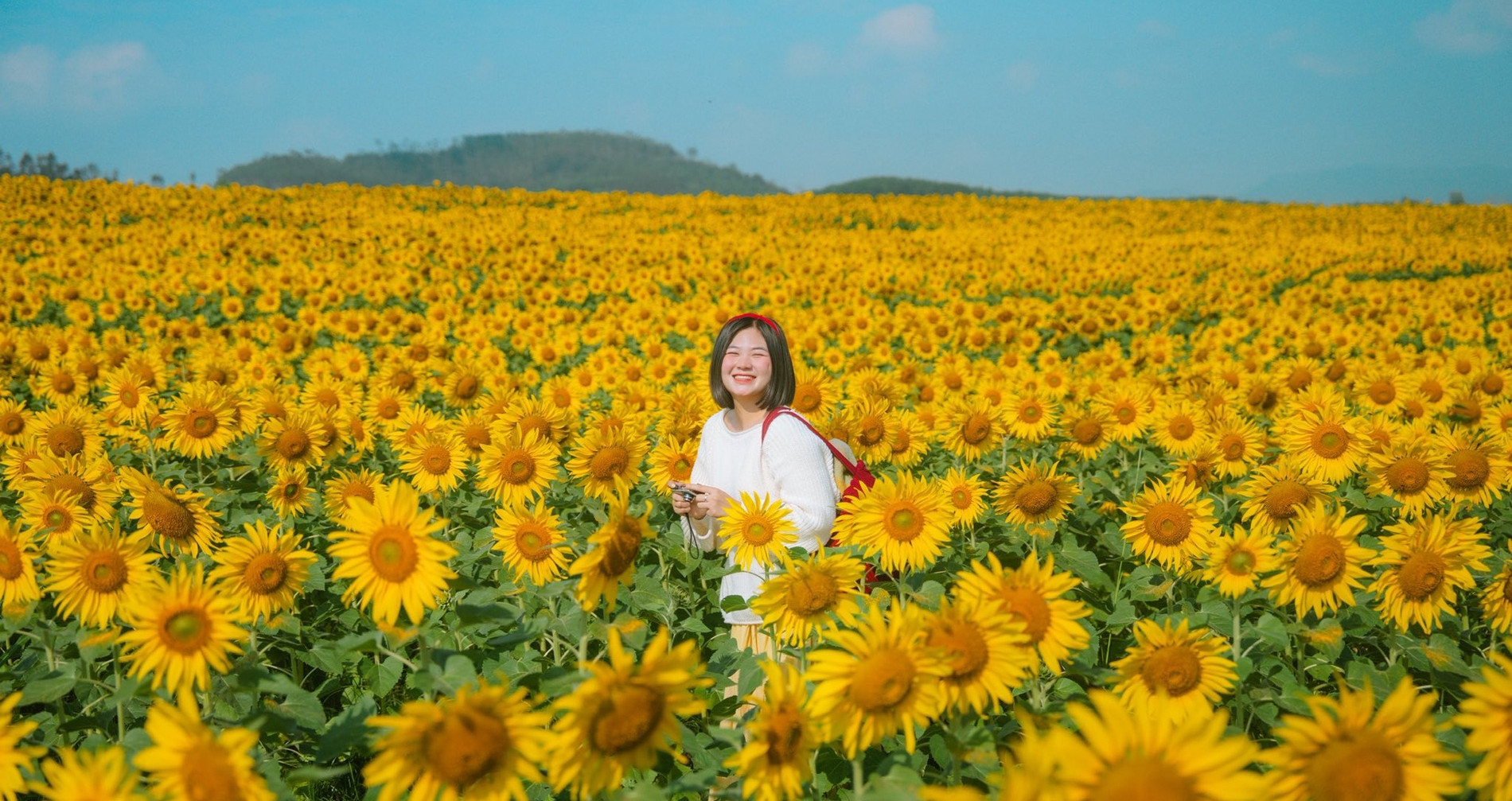 Hà Nội yên bình trong đêm rét ‘cắt da cắt thịt’插图11