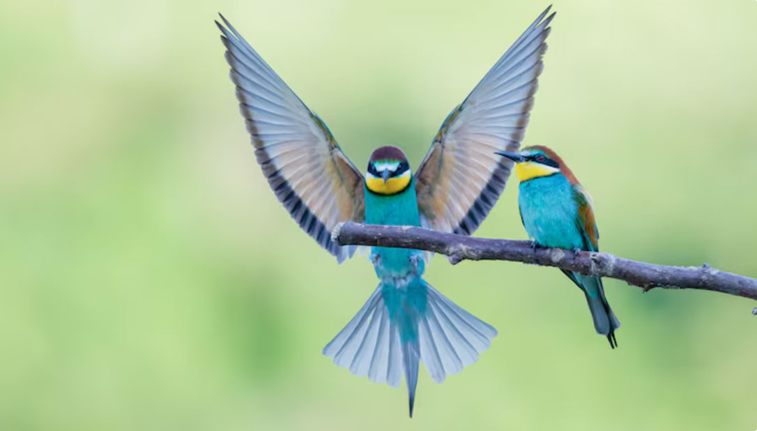 Phụ nữ sinh vào 3 tháng Âm lịch này được quý nhân che chở, sống an nhàn đến già - Ảnh 1.