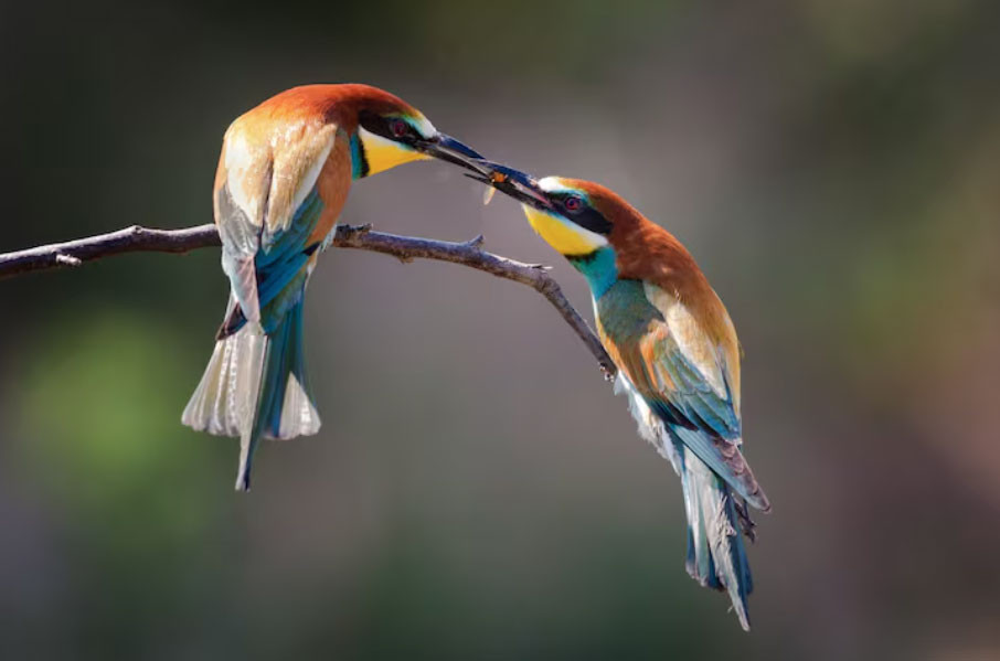 Phụ nữ sinh vào 3 tháng Âm lịch này được quý nhân che chở, sống an nhàn đến già - Ảnh 2.