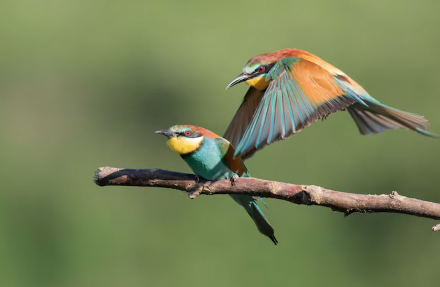 Phụ nữ sinh vào 3 tháng Âm lịch này được quý nhân che chở, sống an nhàn đến già - Ảnh 3.