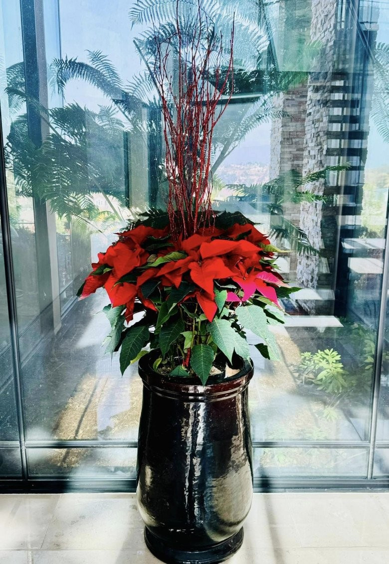 Sở thích trang trí nhà của thủy tiên Sau ly hôn Đan Trường gây ấn tượng Mạnh - Ảnh 9.