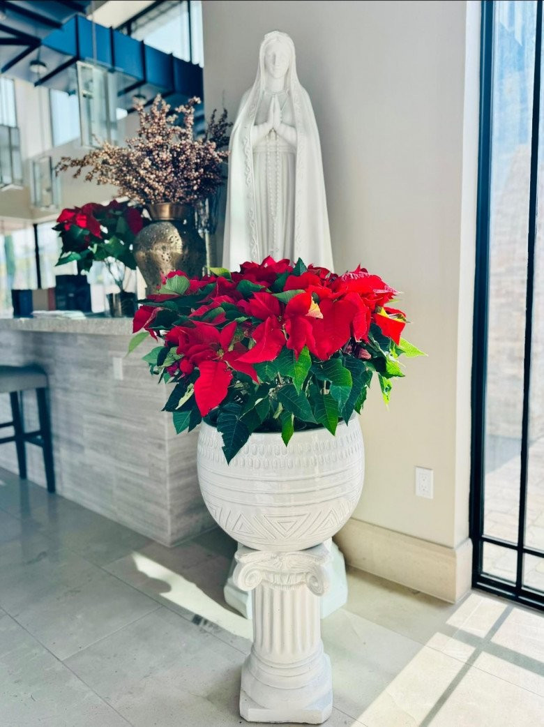 Sở thích trang trí nhà của thủy tiên Sau ly hôn Đan Trường gây ấn tượng Mạnh - Ảnh 8.