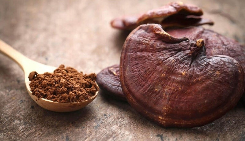 Nấm linh chi có thực sự là “thần dược”? Những tác dụng và cảnh báo cần biết - Ảnh 1.