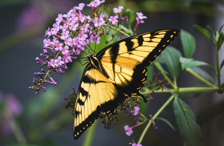 Tháng sinh Âm lịch của người quyết đoán, tham vọng - Ảnh 3.