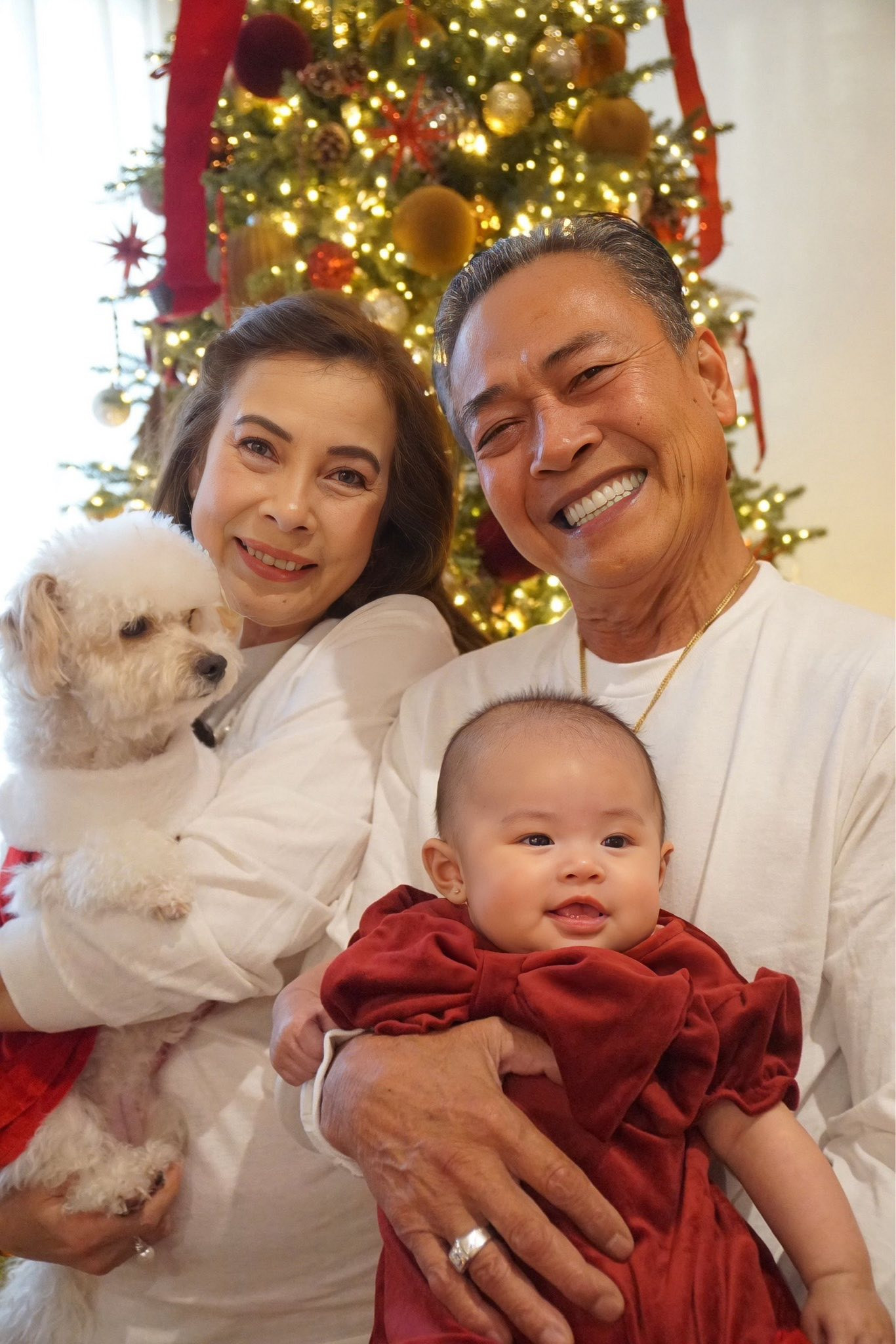 dai gia dinh jennifer pham mung giang sinh o my 21ea591da0294dc787a206474d83c1ab 69.jpg