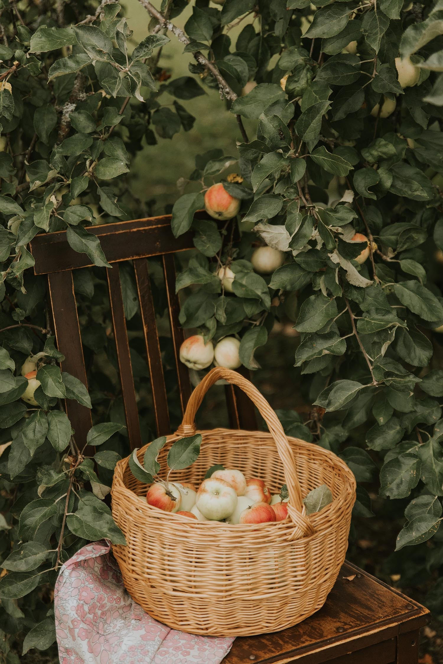 Nhìn cách phụ nữ Ý sống, nhiều người nhận ra mình đang tự làm khổ bản thân - Ảnh 2.